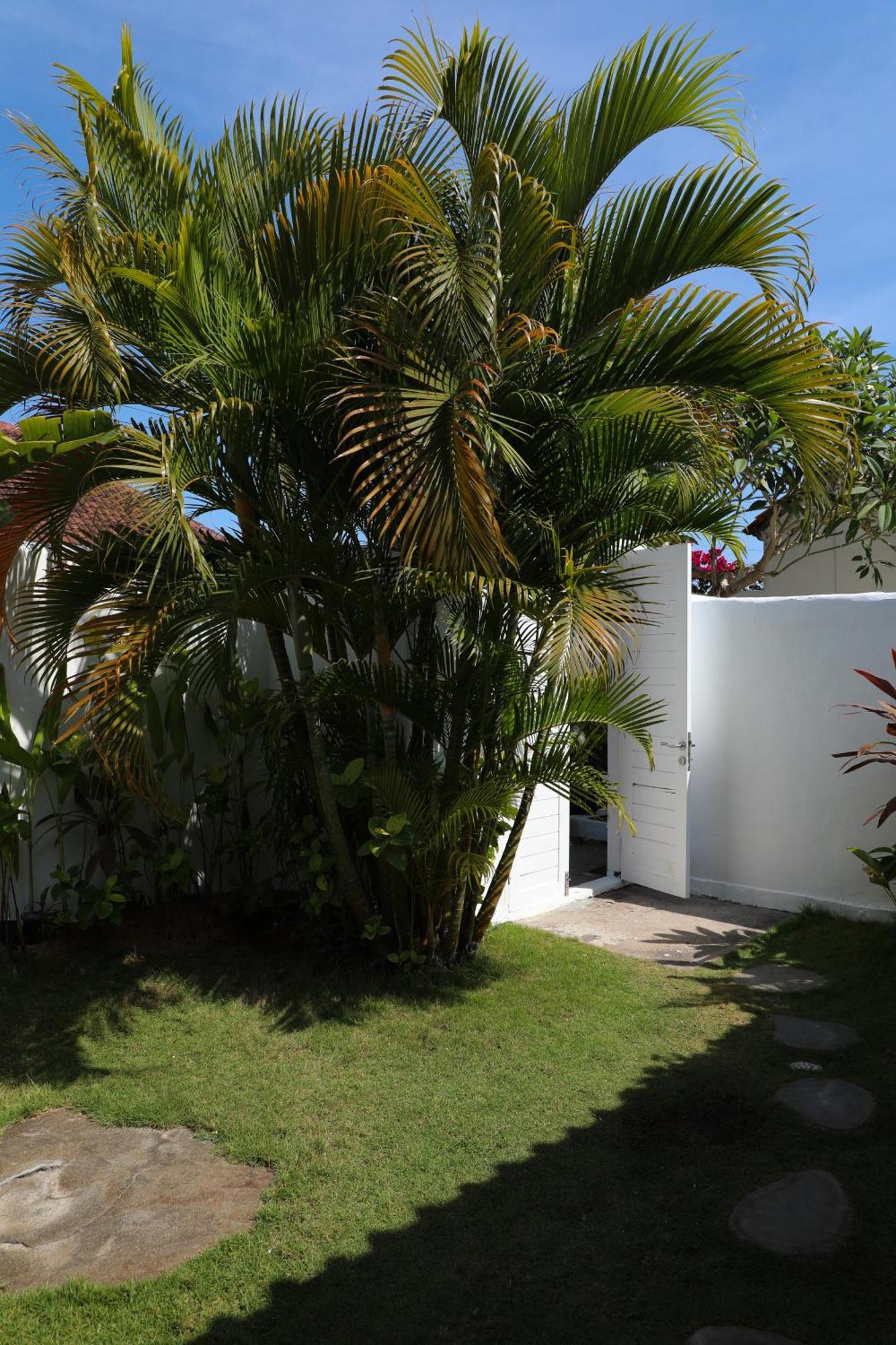 Villa Tom & Lucie Bingin Beach Uluwatu Dış mekan fotoğraf